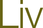 Liv Immobilien GmbH