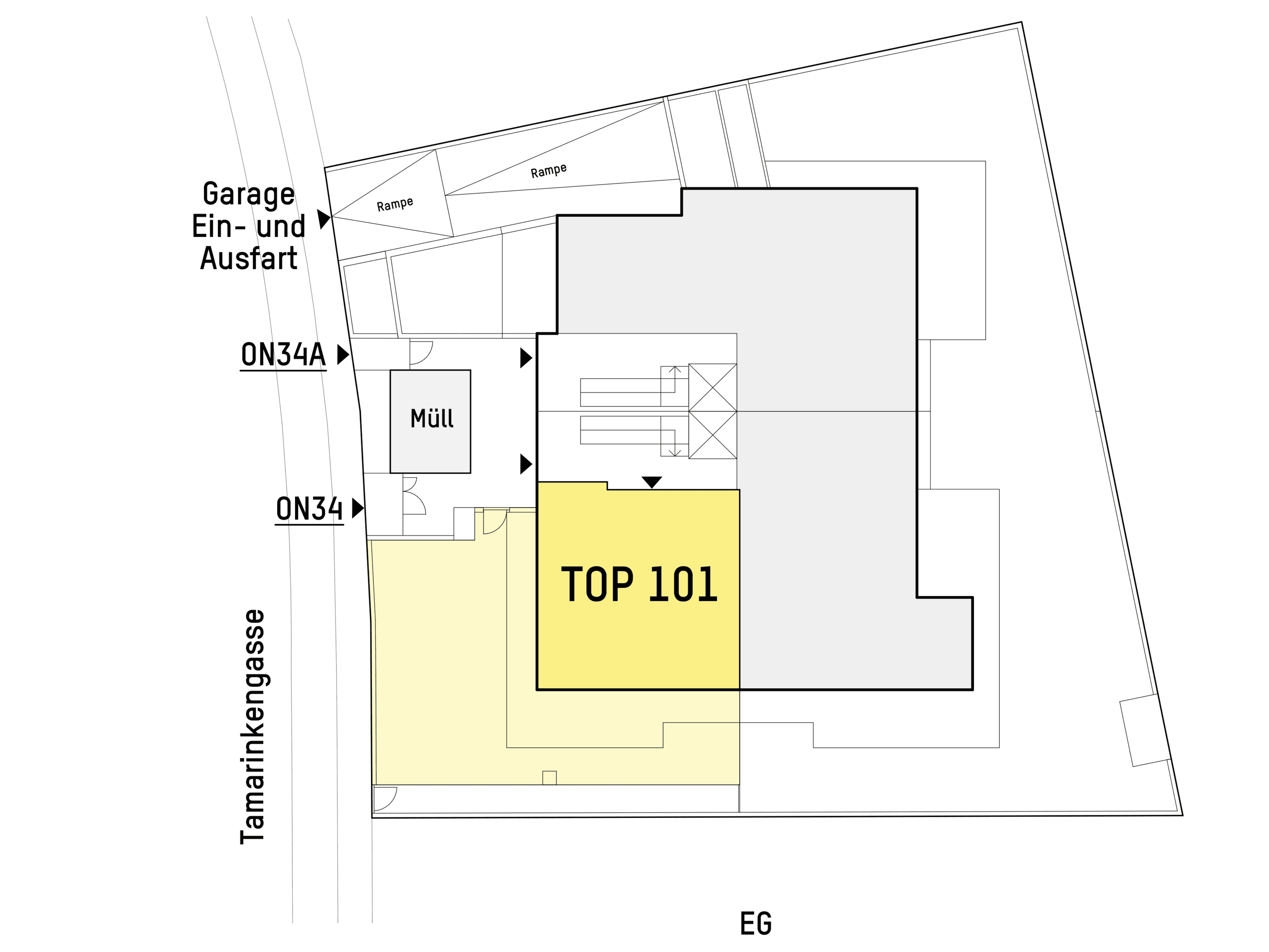Grundriss TOP 1.01 — Tamariskengasse 34 — 2 Zimmer — 64 m² — Ground floor — Grundriss 2/2