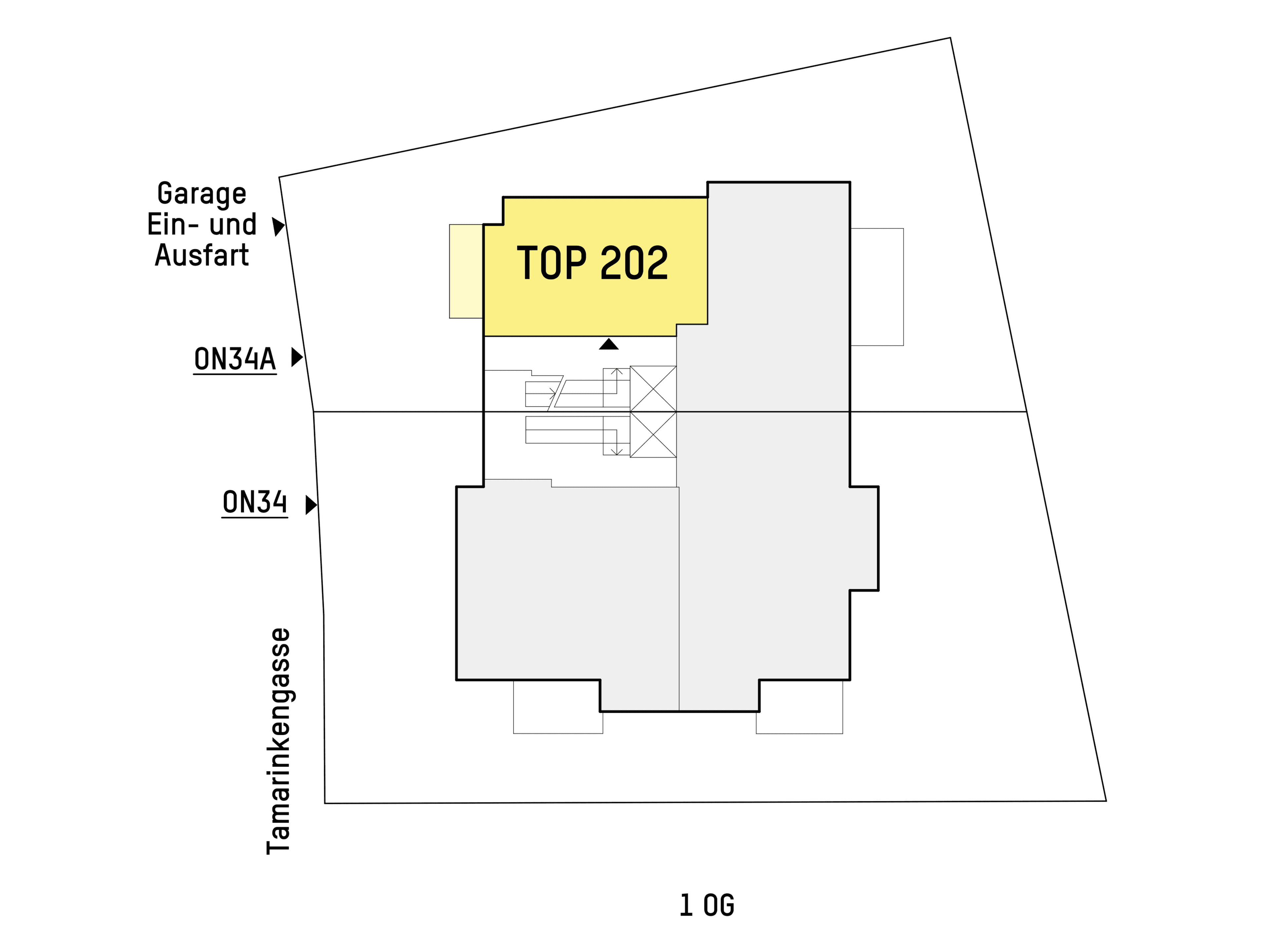 Grundriss TOP 2.02 — Tamariskengasse 34 — 2 Zimmer — 51 m² — 1st floor — Grundriss 2/2