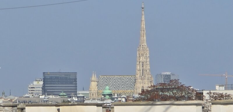 Image 12 of 25