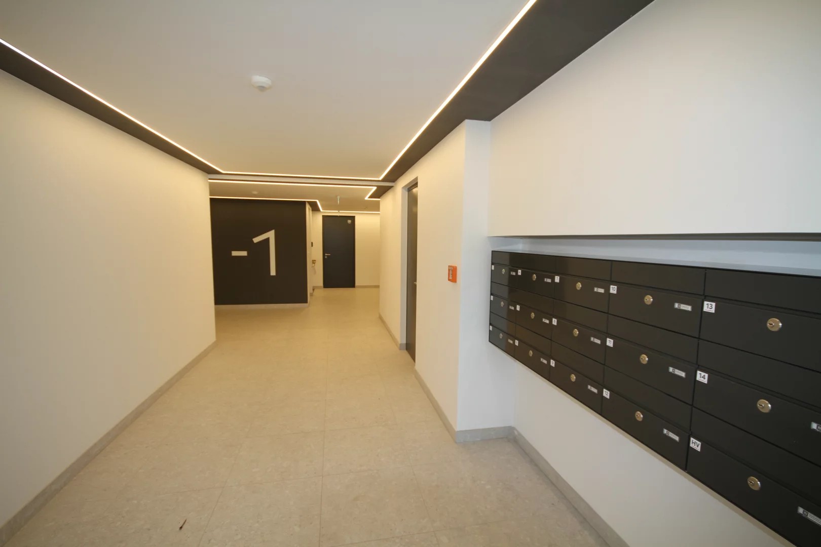 Image 7 of 8
