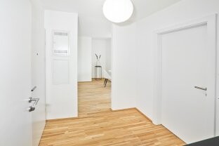 Image 12 of 17