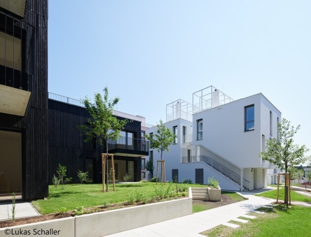 Image 15 of 16