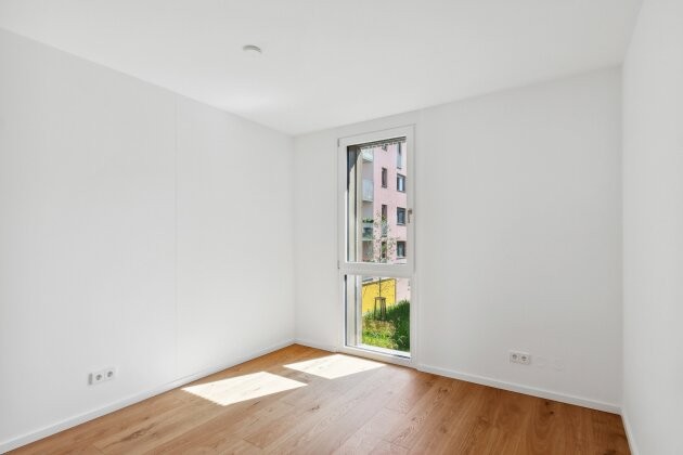 Image 11 of 16