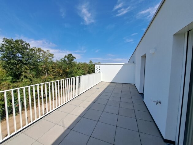 Image 10 of 11