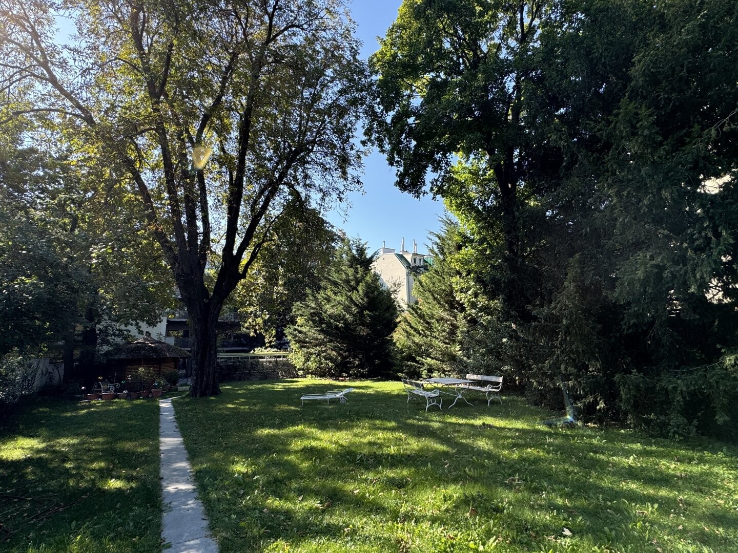 Image 8 of 12