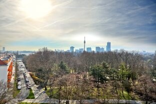 Image 17 of 17
