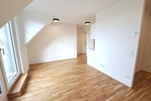 Image 7 of 14