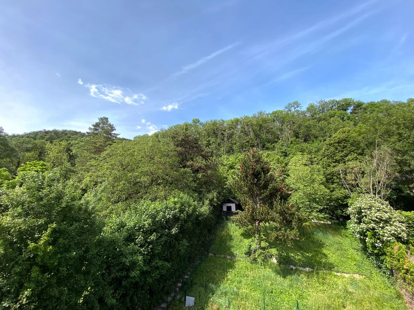 Image 9 of 9