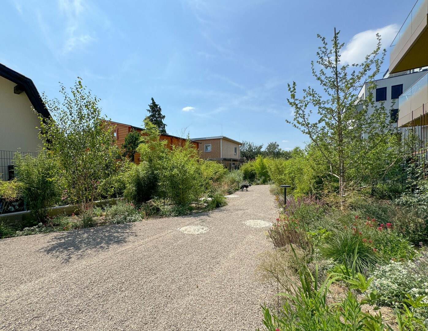 Image 18 of 18