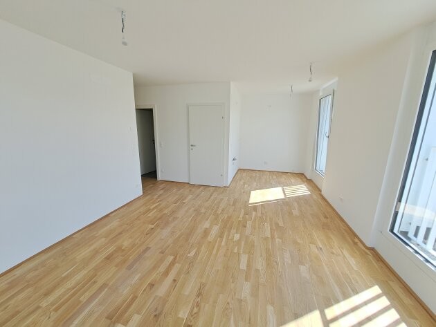 Image 11 of 11
