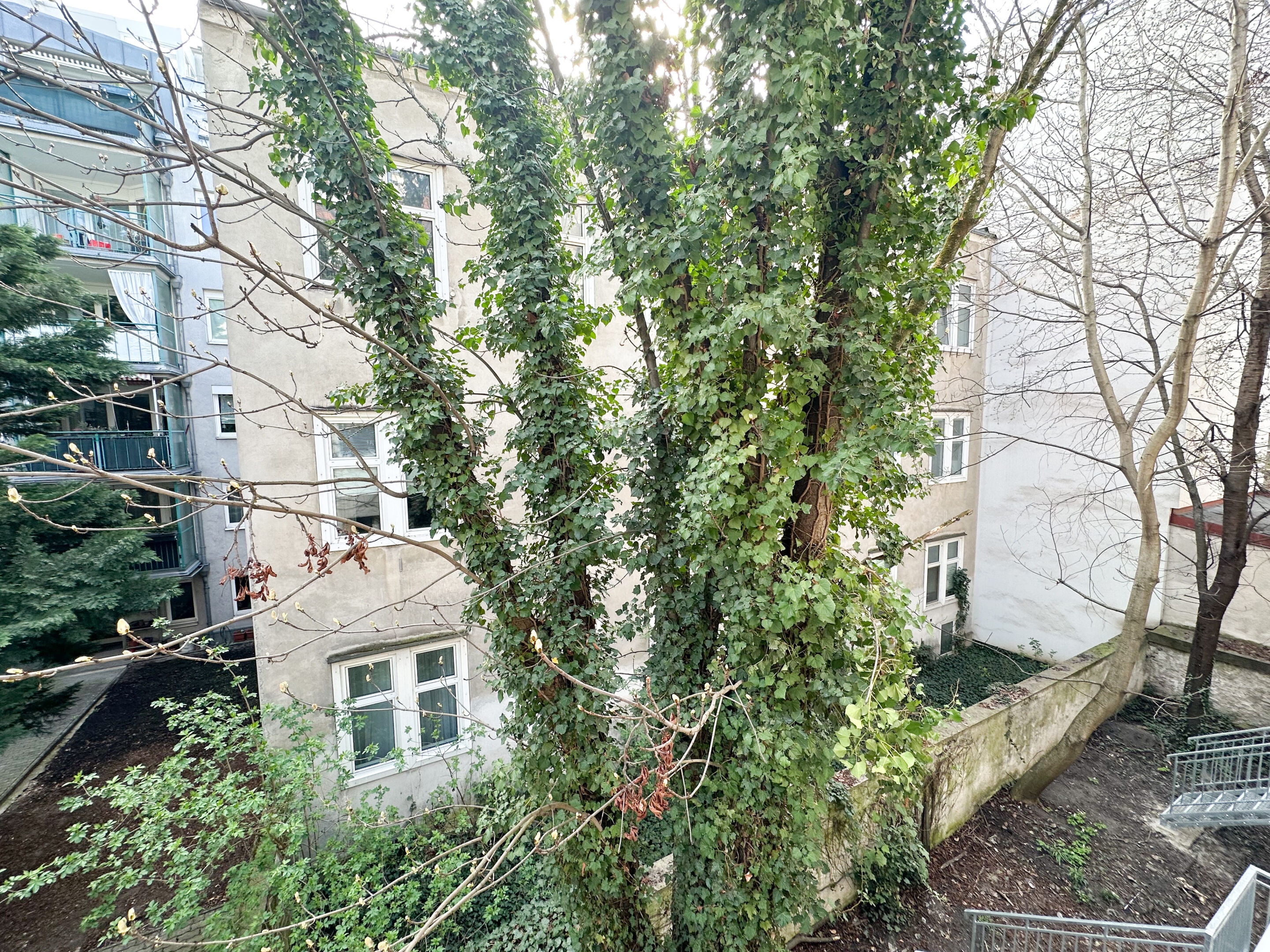 Beckmanngasse 38