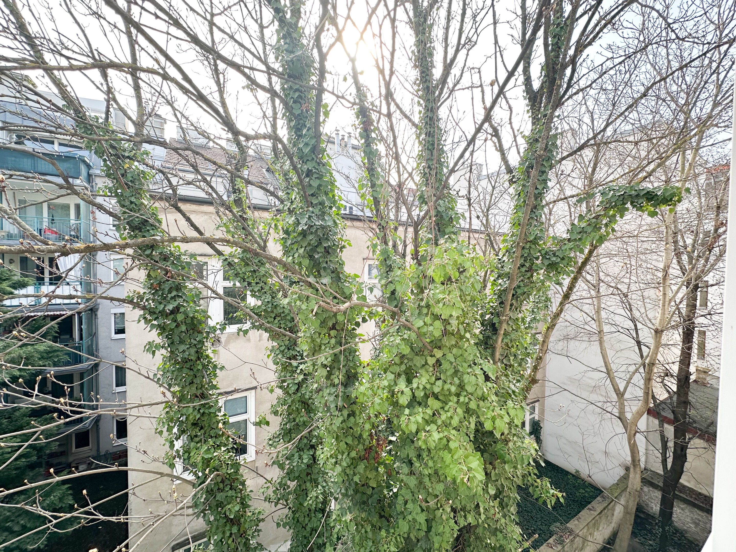 Beckmanngasse 38