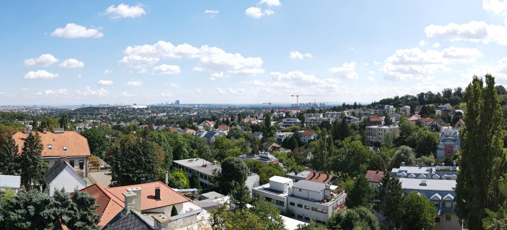 Bella Vista