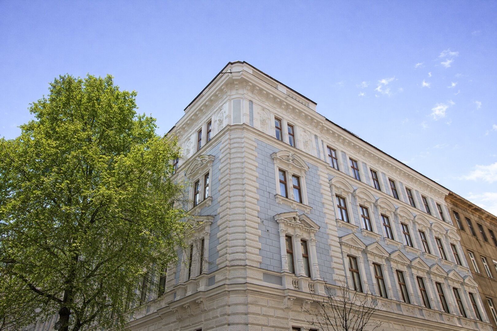 Borschkegasse 15
