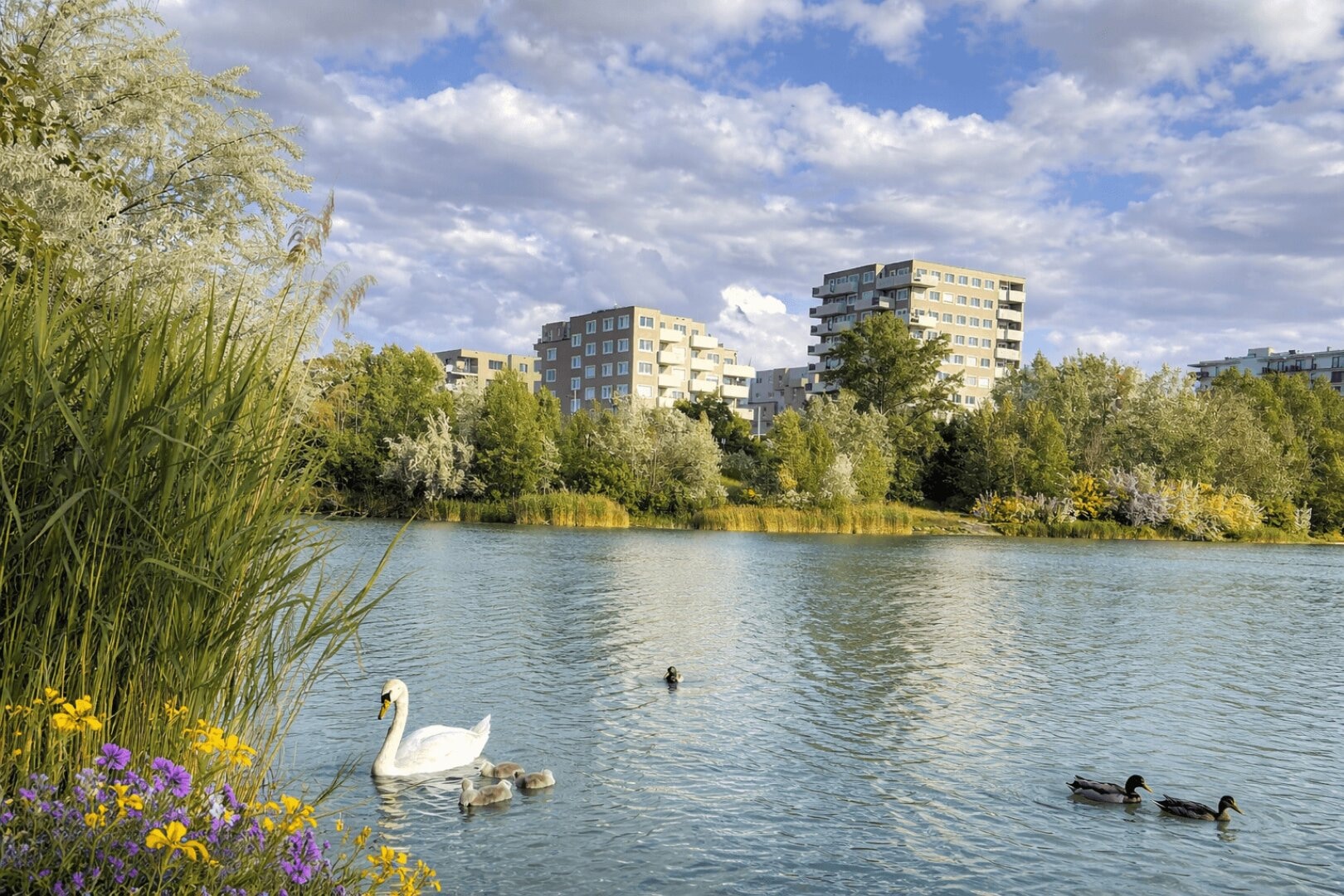 Edith Kramer Weg 11