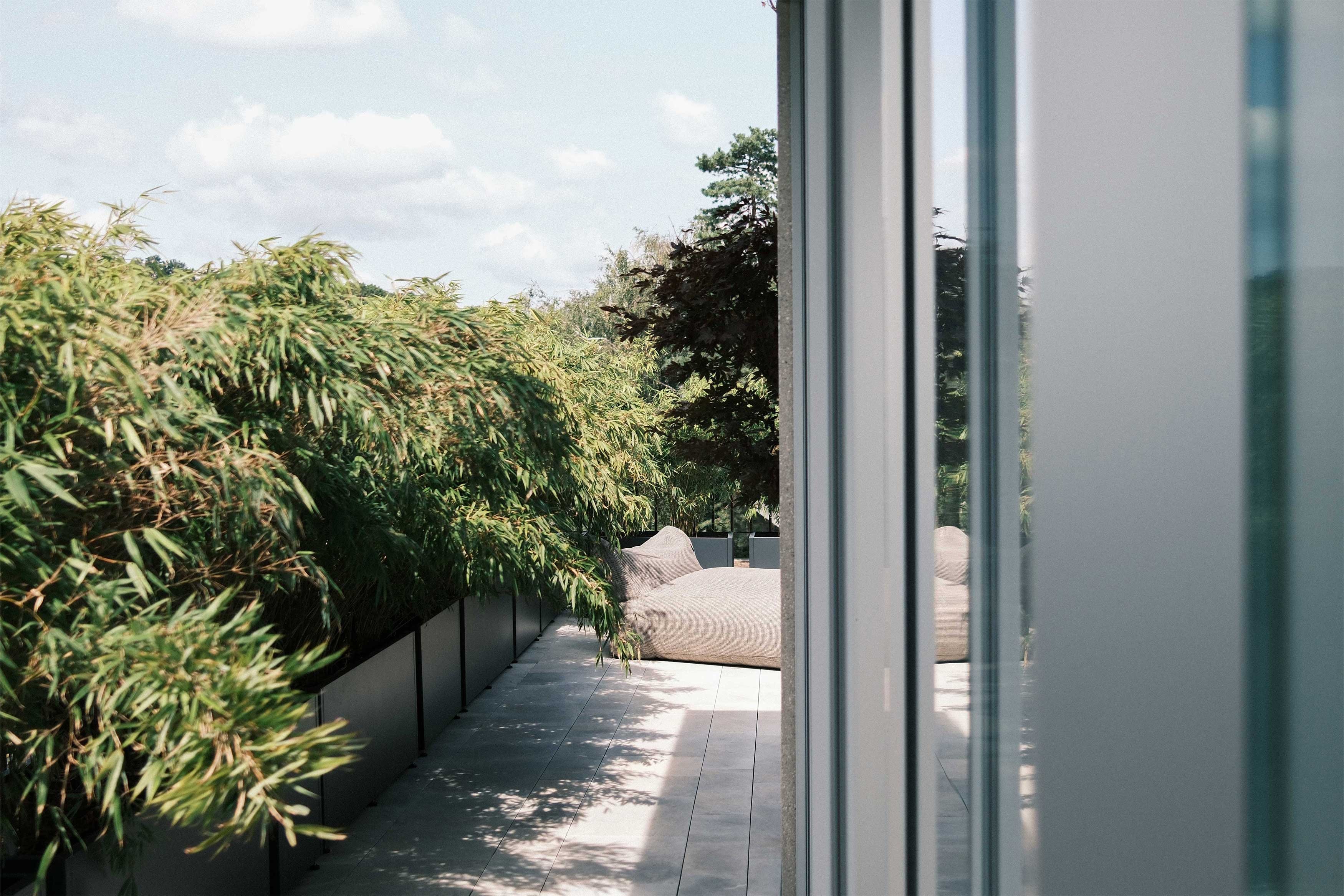 CROWND by Chipperfield
