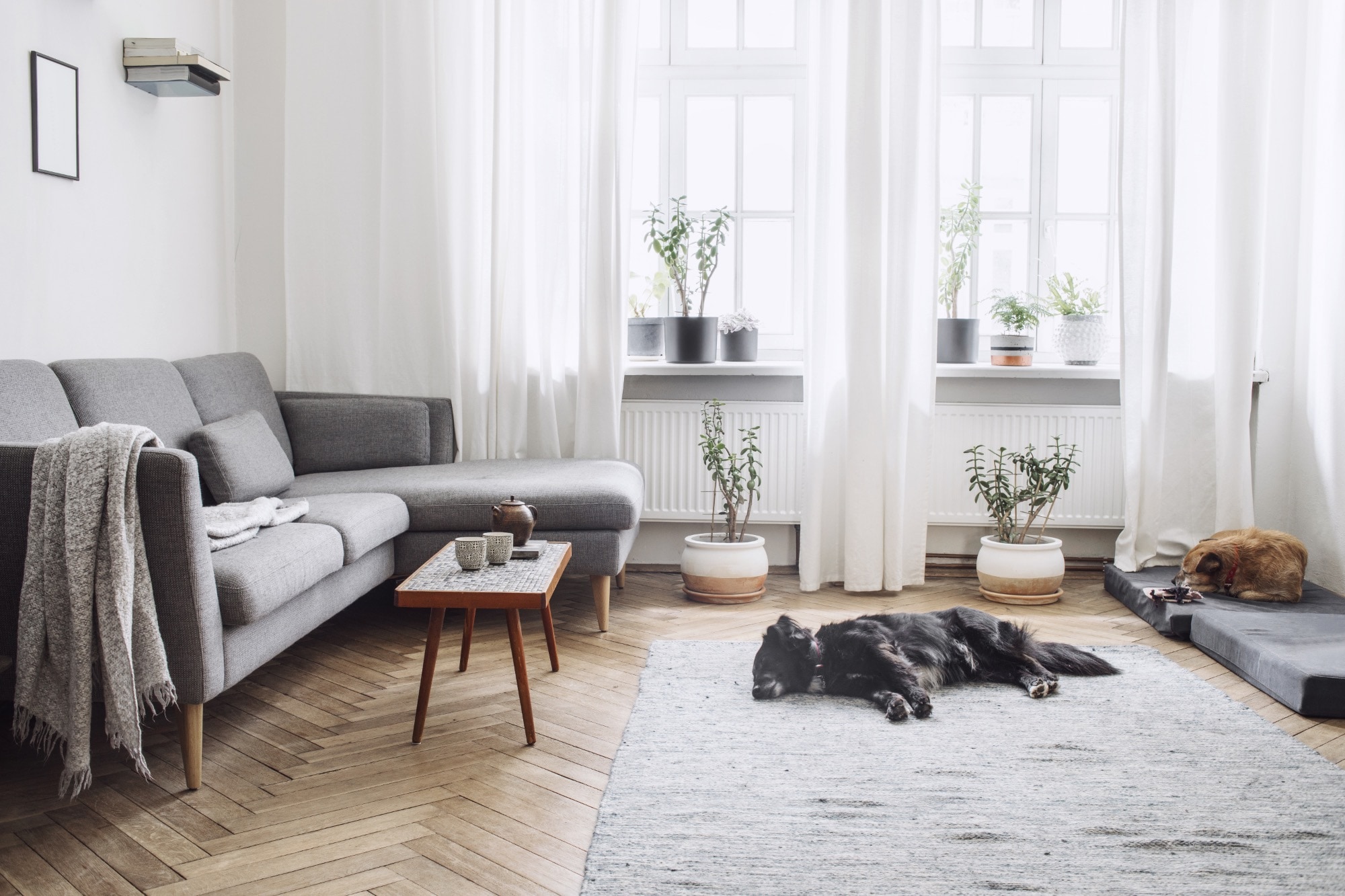 M124 – Neu Penzing Living