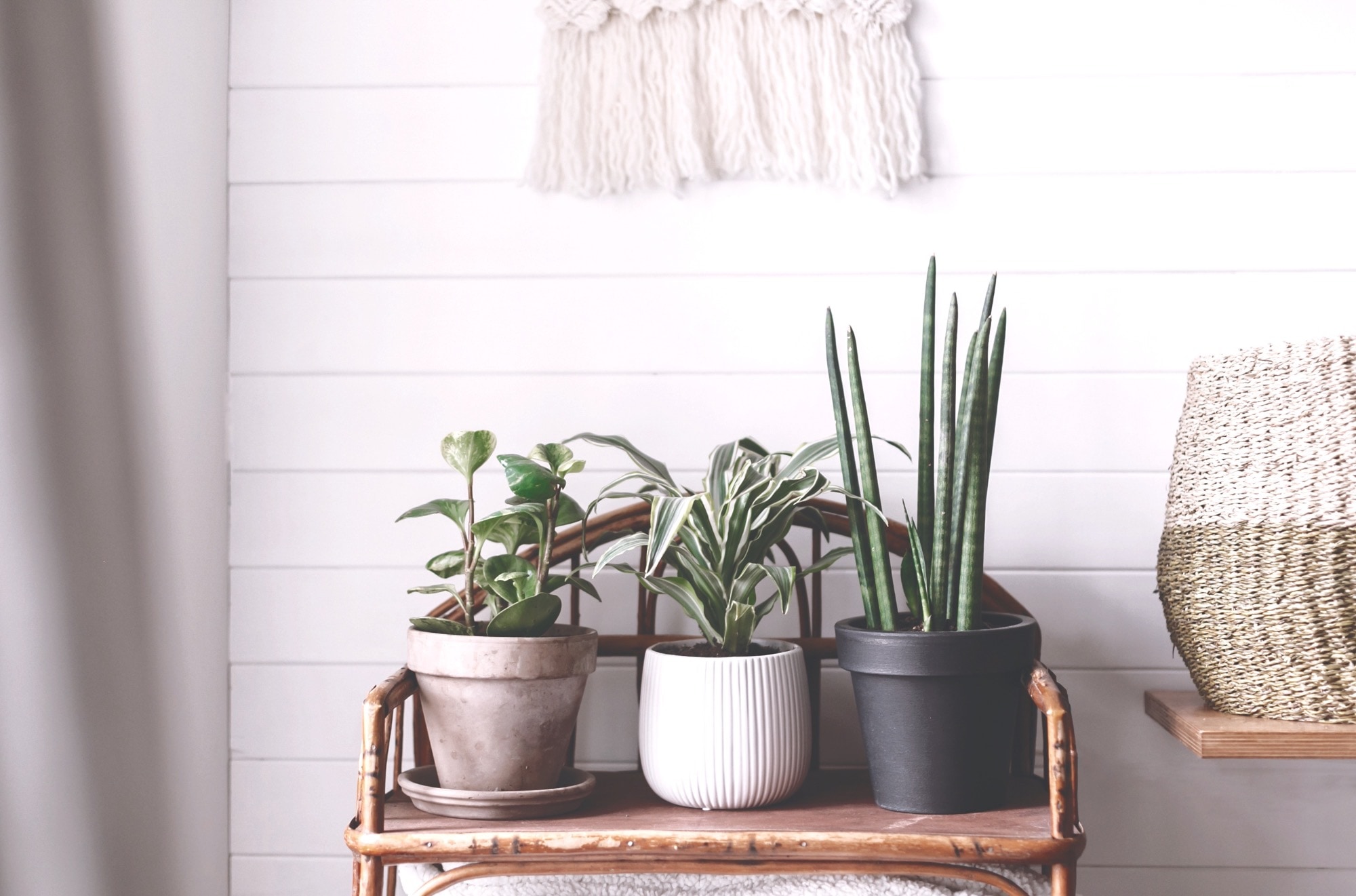M124 – Neu Penzing Living