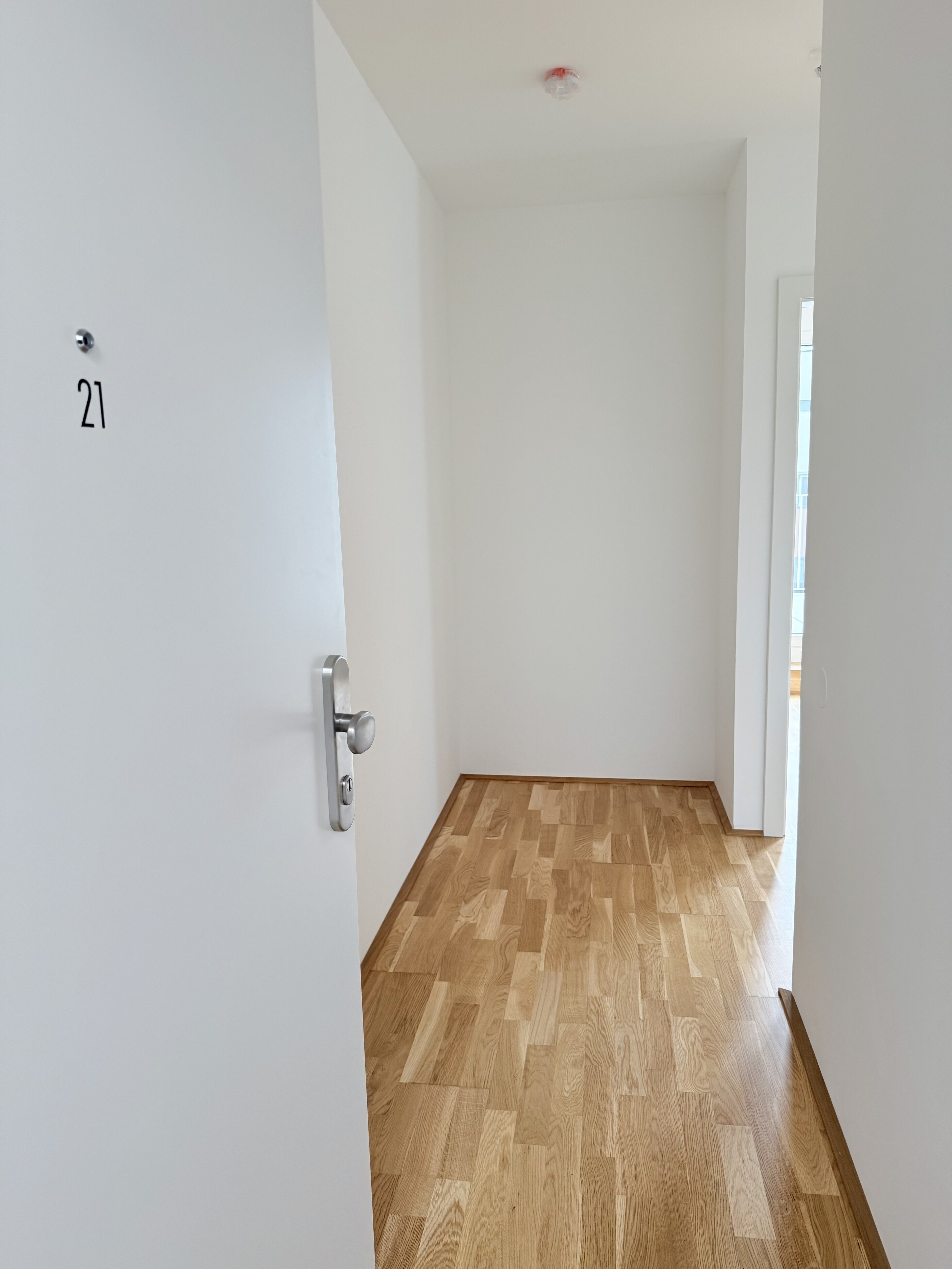 Edi N°7