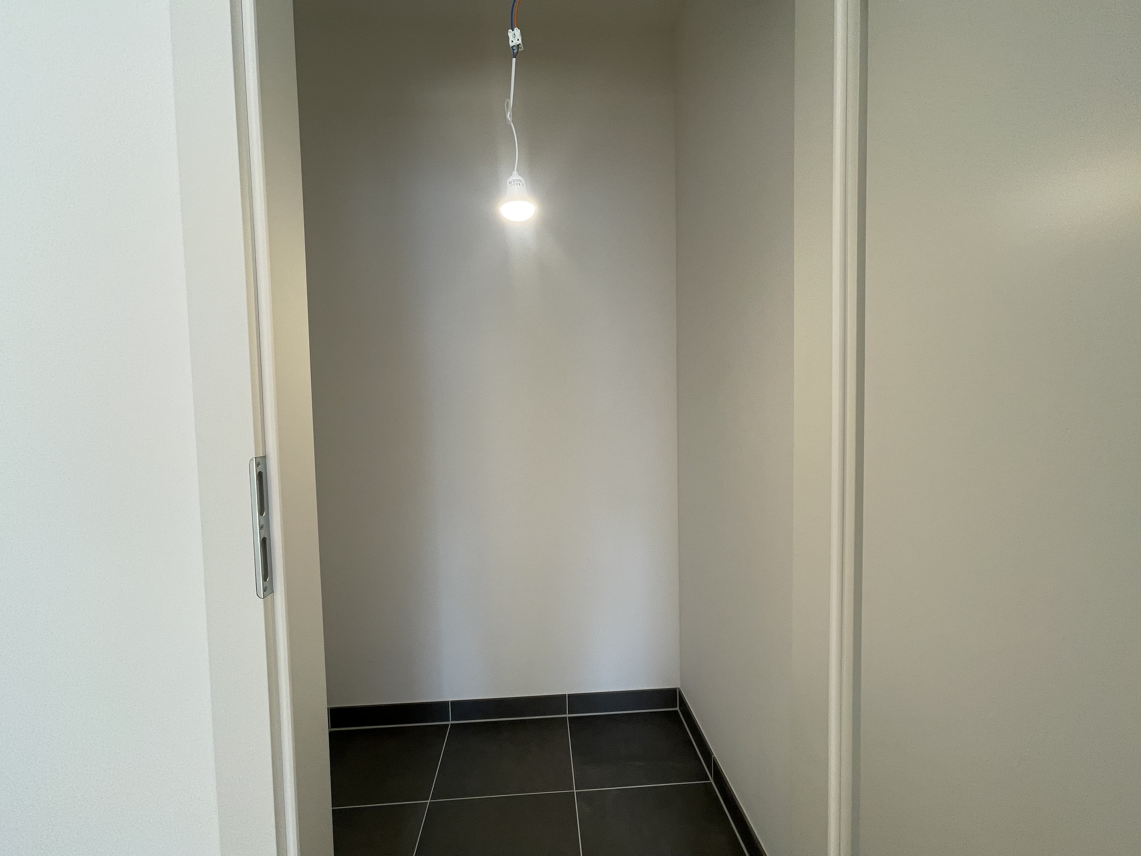 Edi N°7