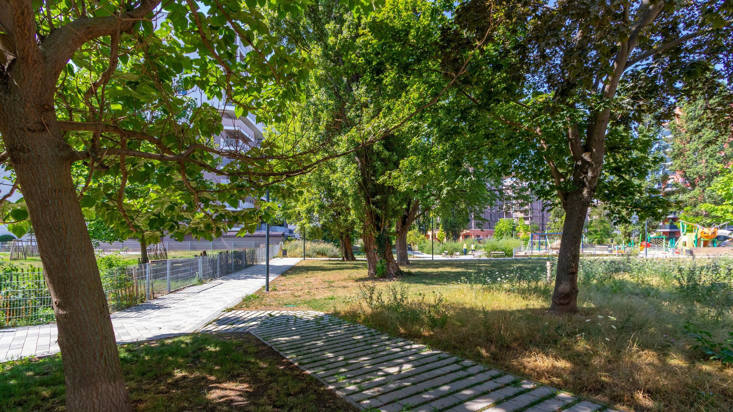 Klenaugasse 3