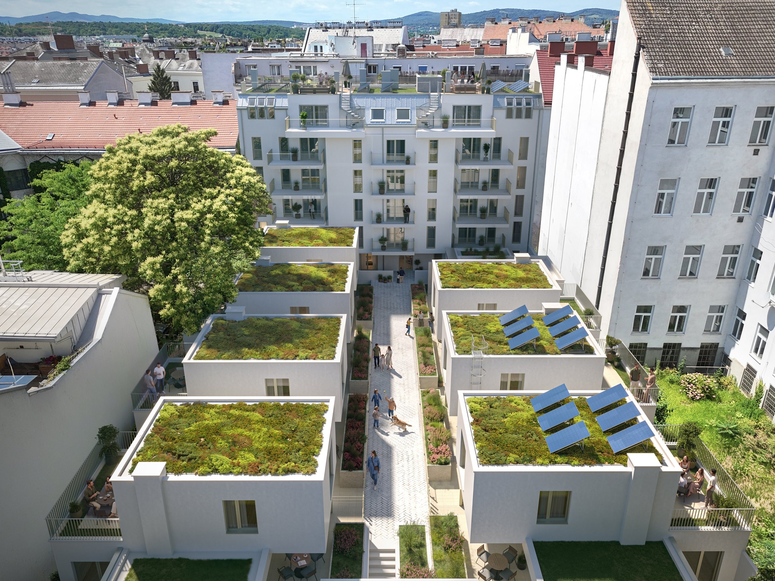Kranzgasse 24