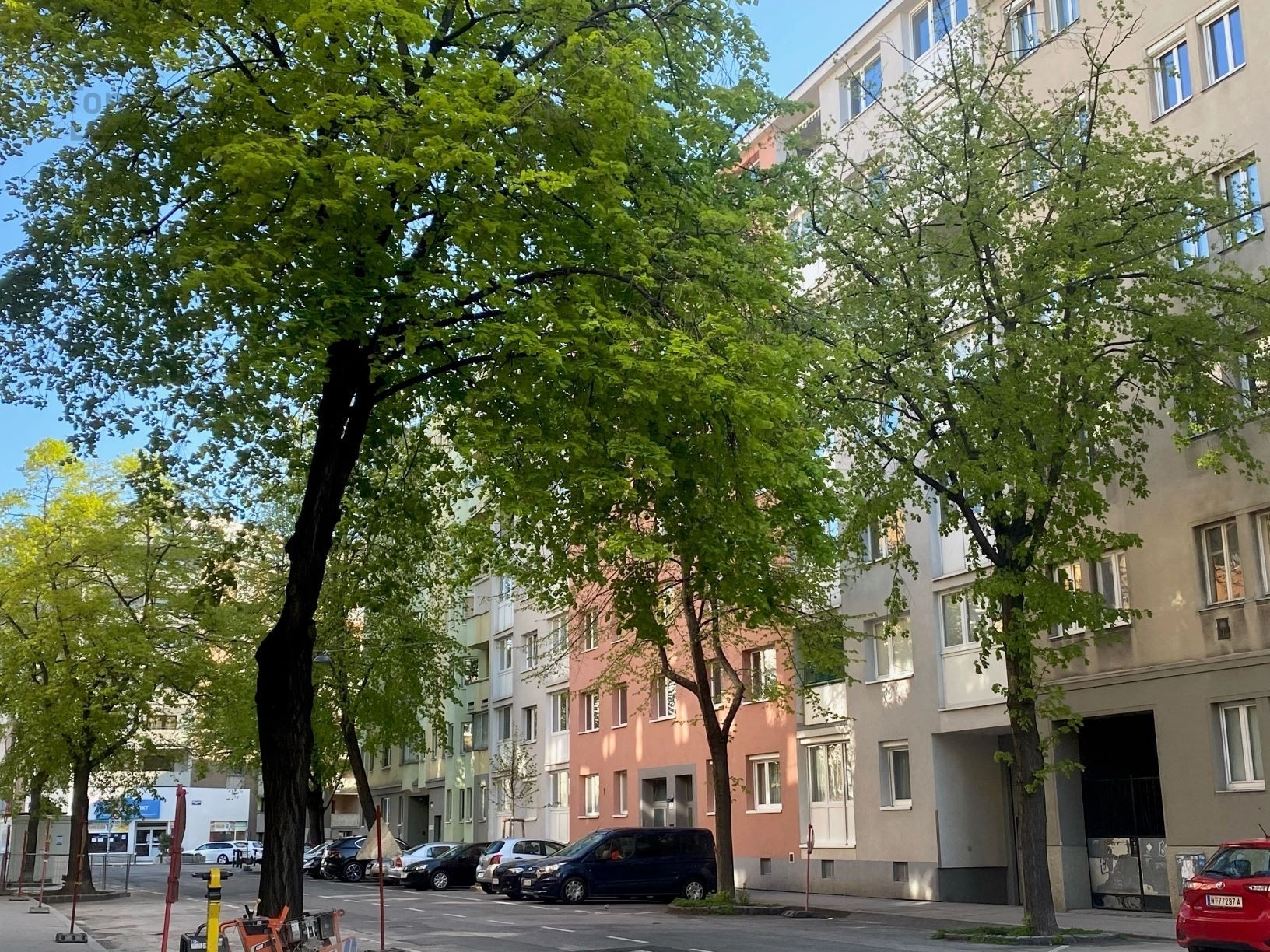 Mitten im Leben – Close to Green – Living by the Augarten