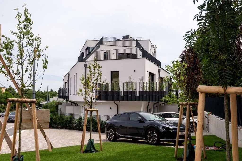 THE GREENERY