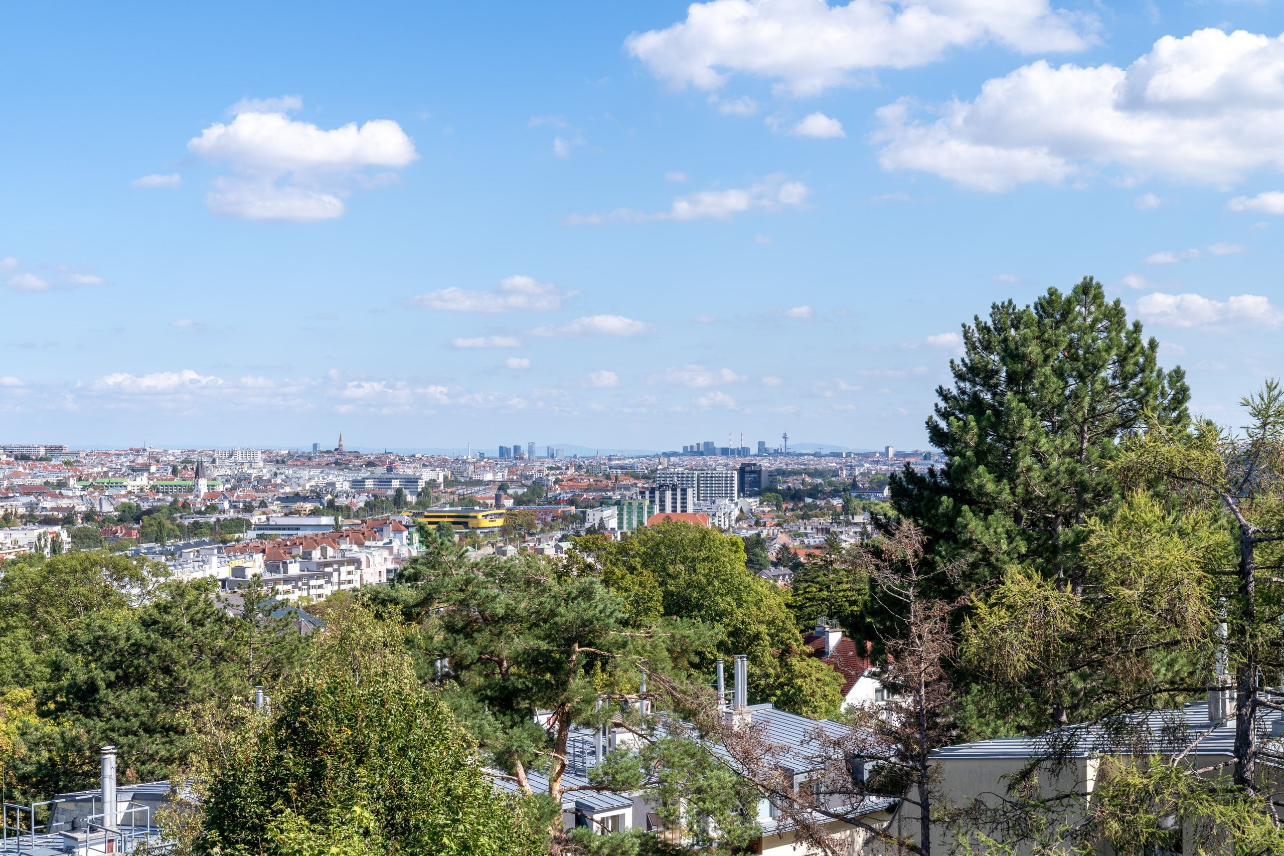 THE HEIGHTS