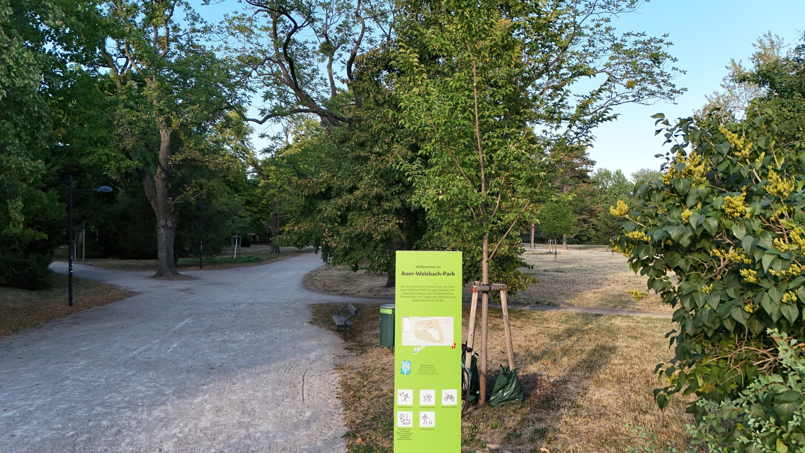 VISTA18