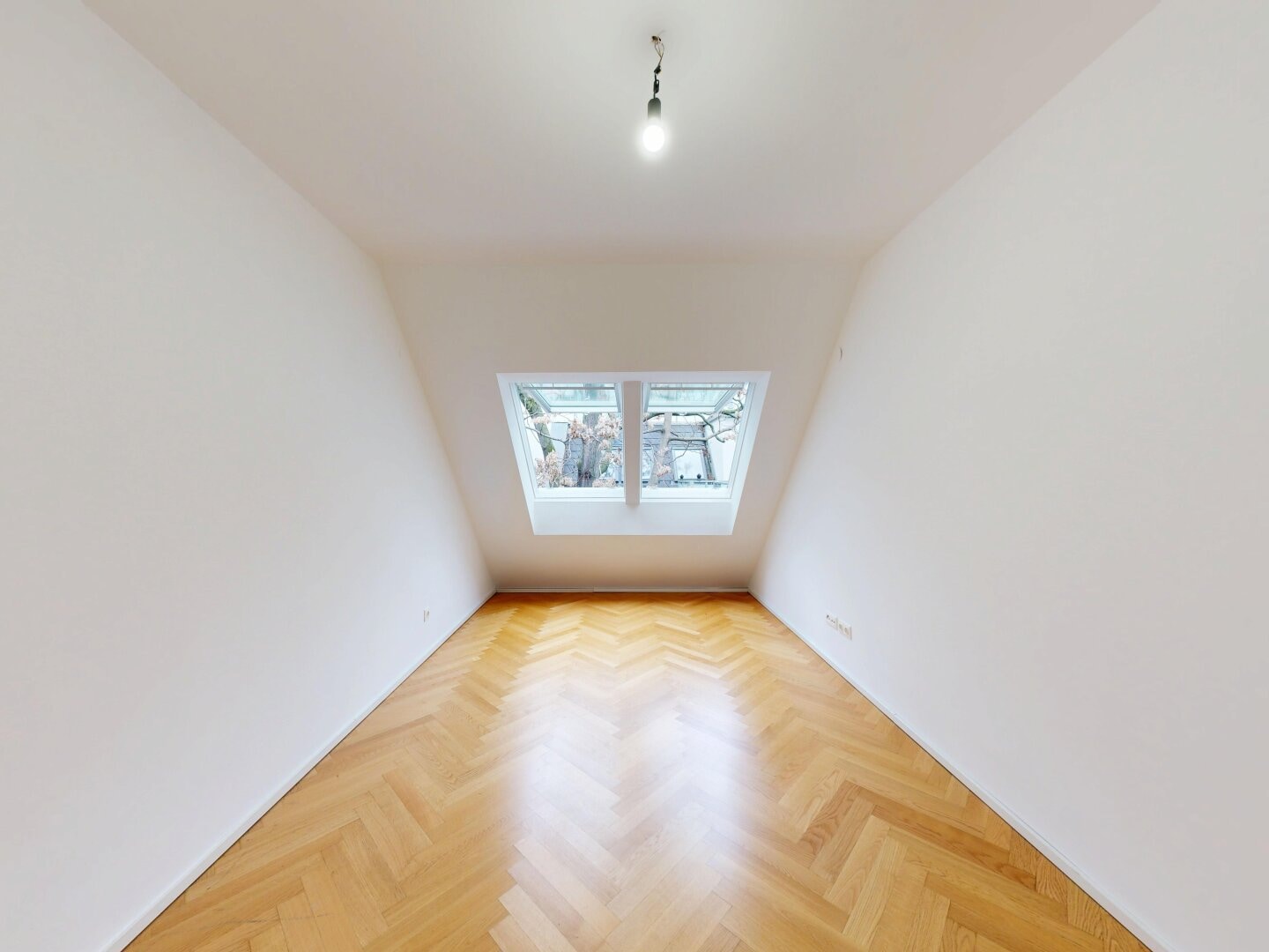 Reichsapfelgasse 19