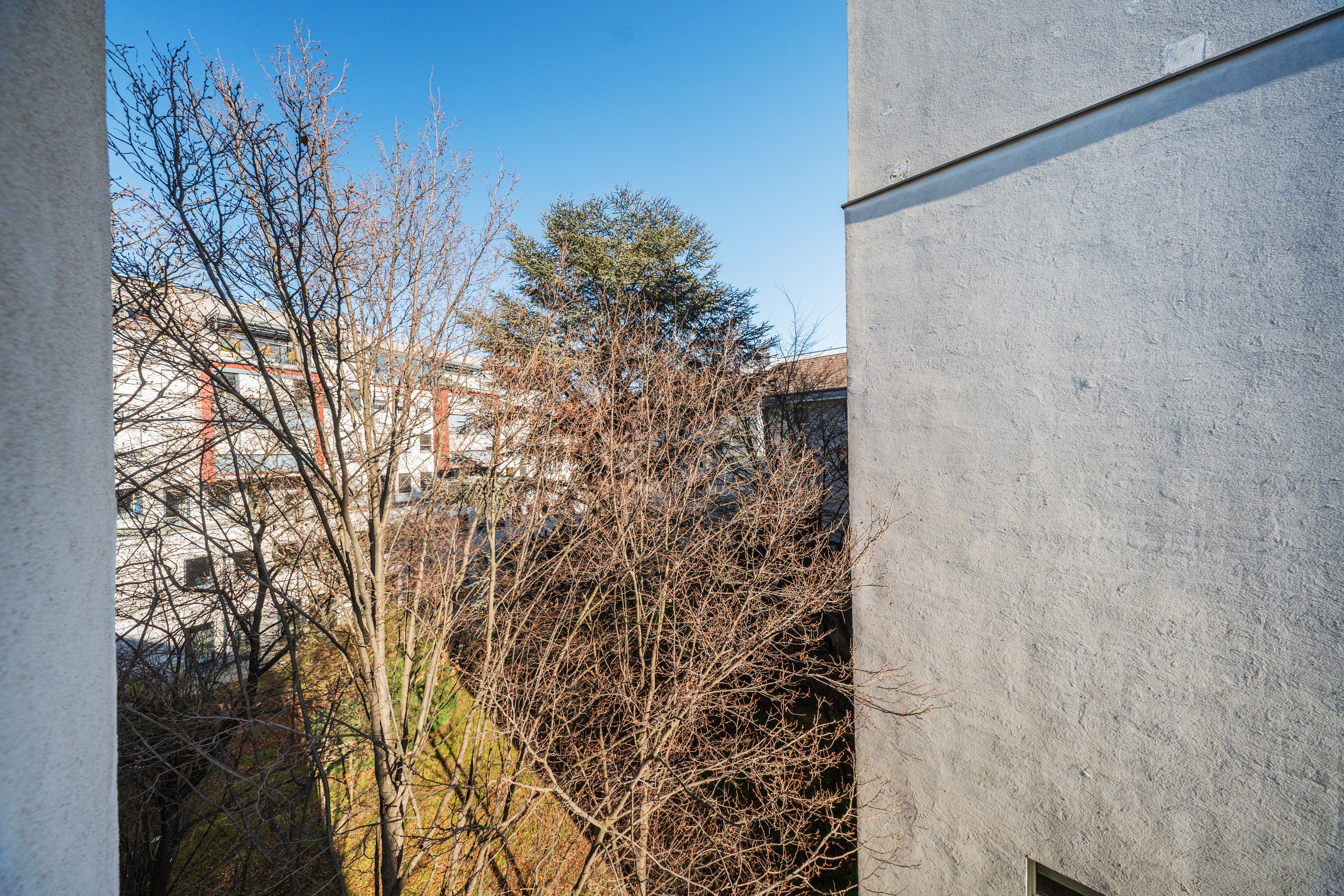 Sturzgasse 44