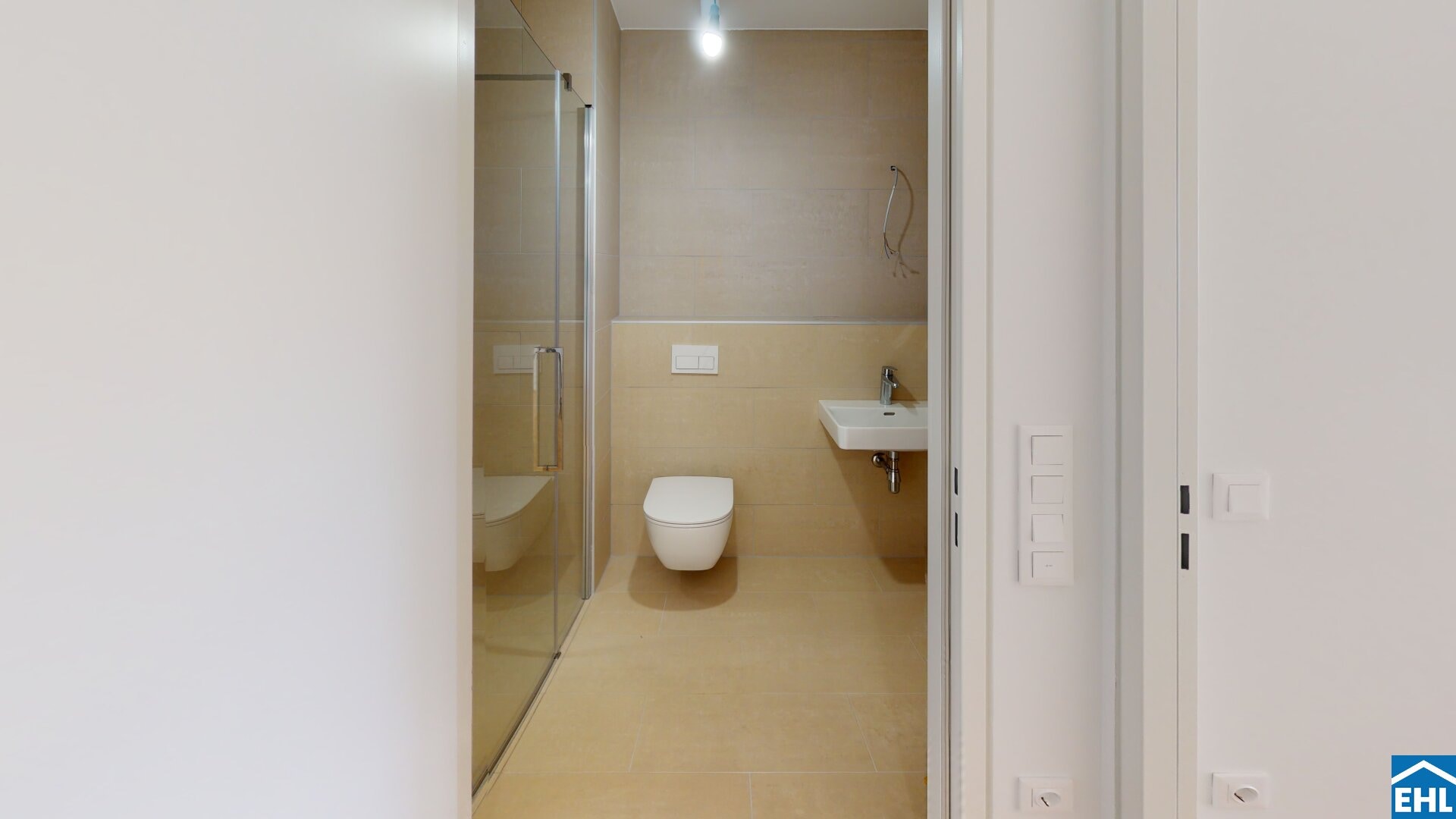THEOs
