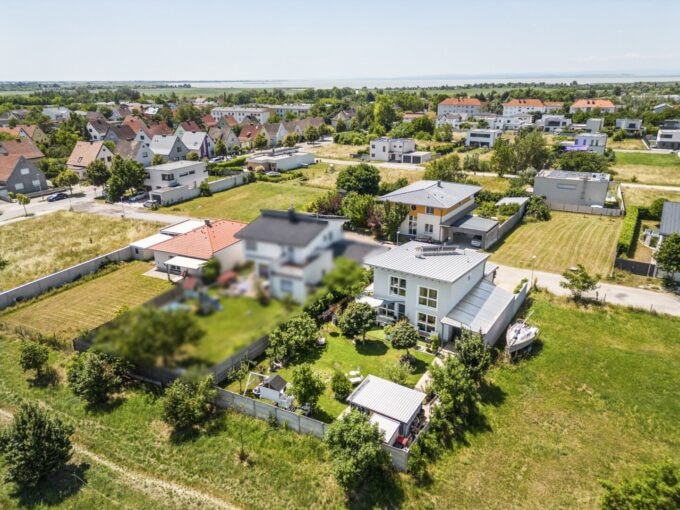 Vilnea Twelve
