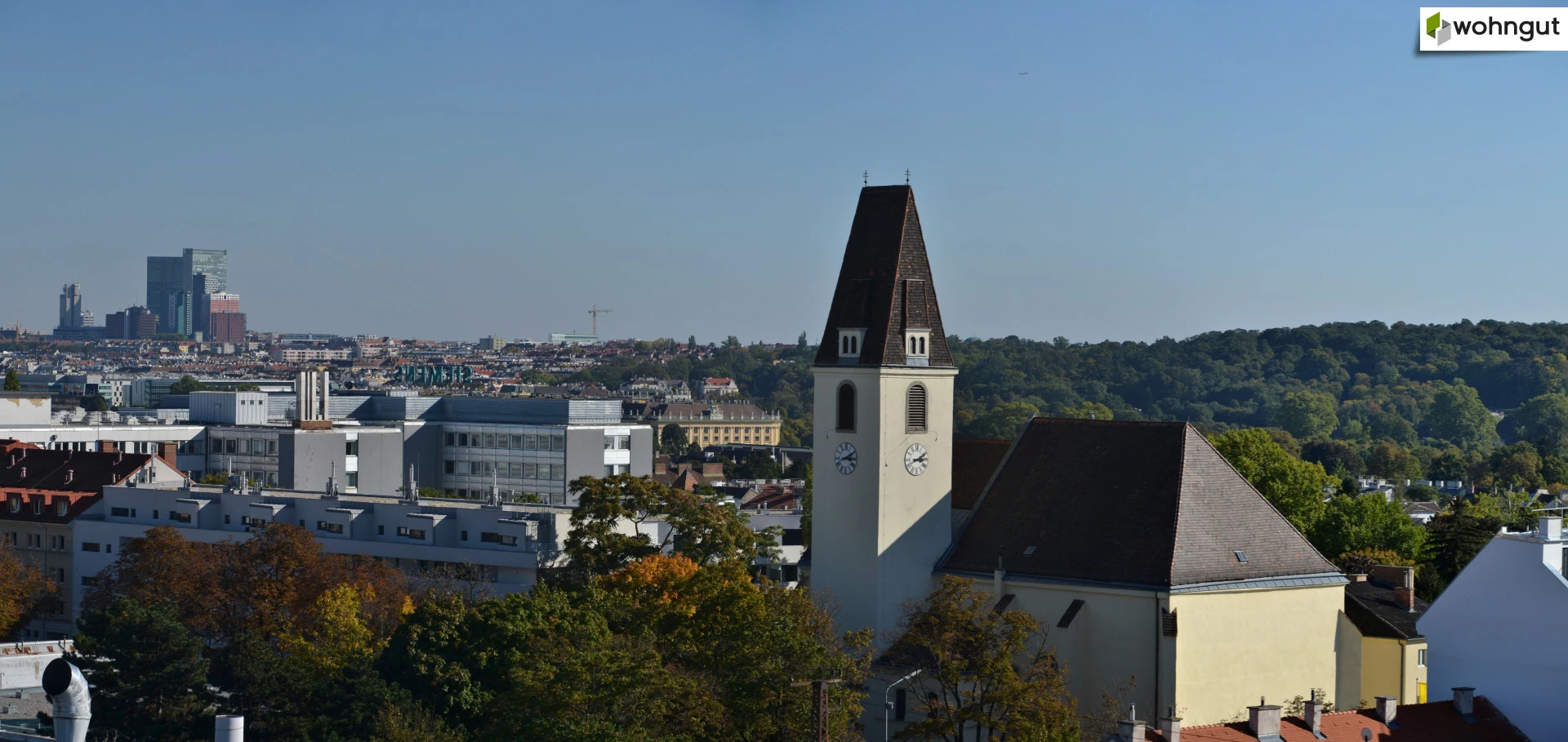 Image 7 of 19