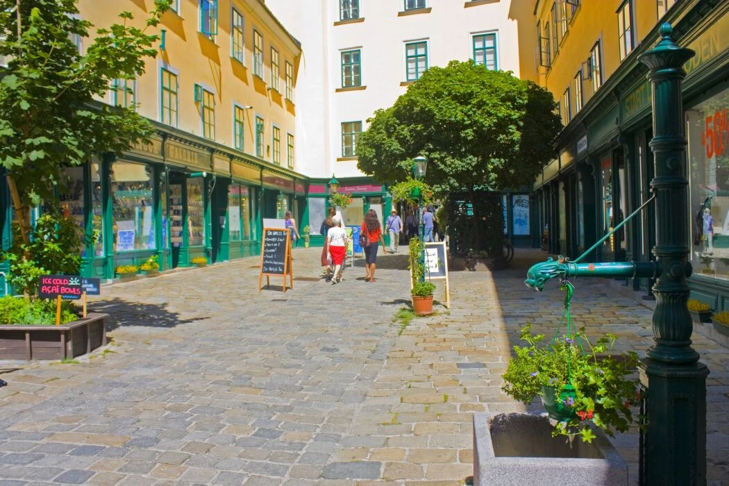 Bild 6 von 14