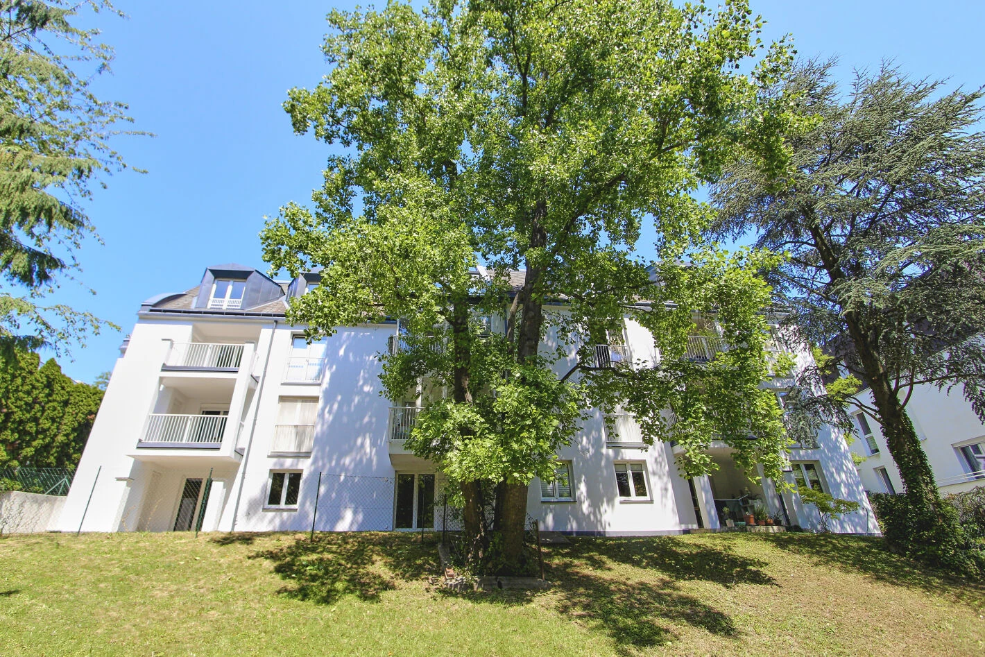 Bild 6 von 21