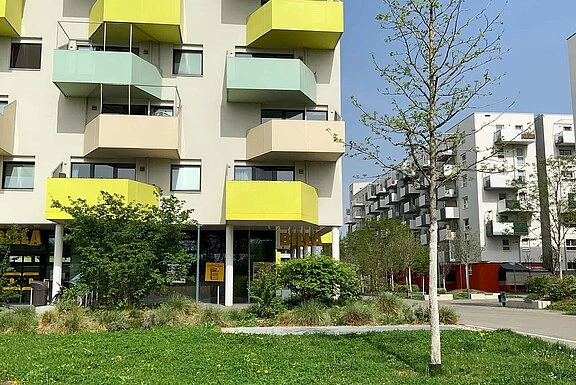 Bild 19 von 21